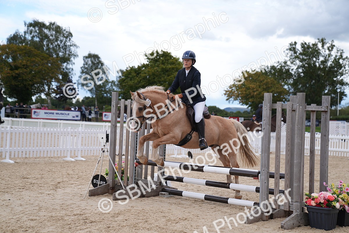 SBM_09197 - J36 Veteran 70cm Championship