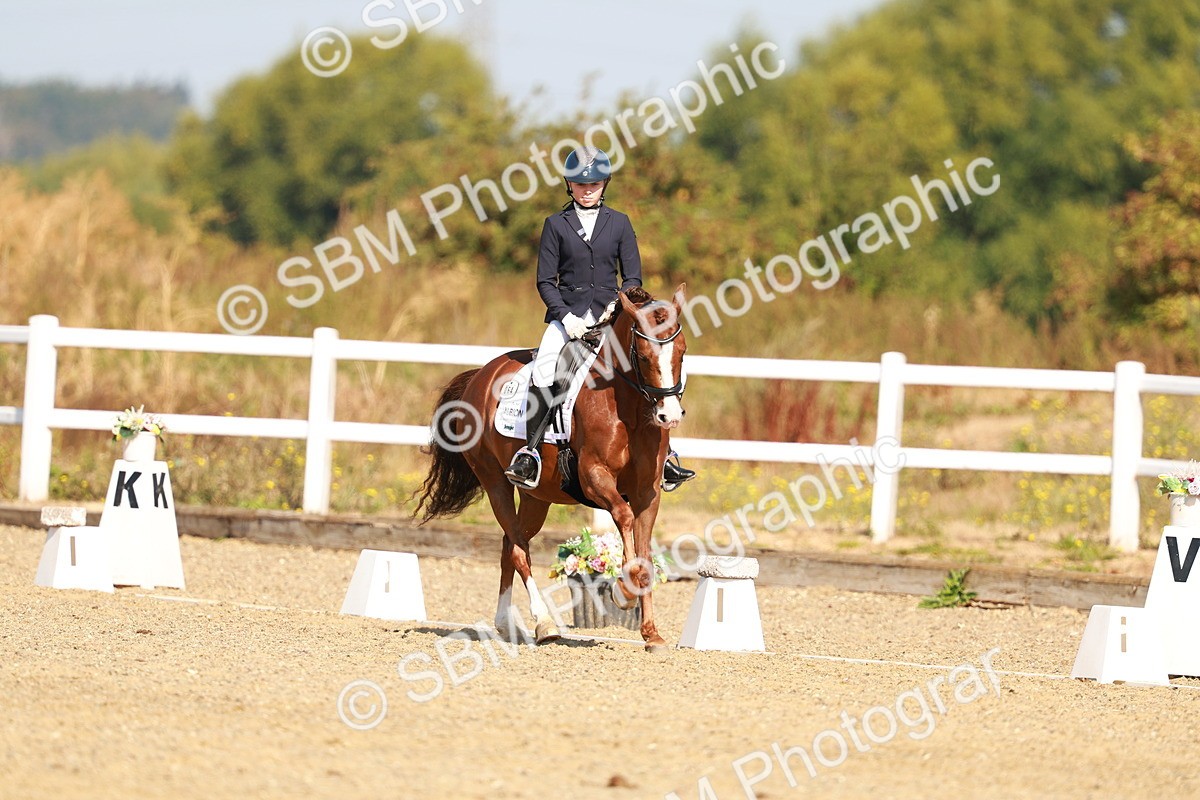 SBM_016807 - Class 9 - N5 Bronze 9.30.10.19