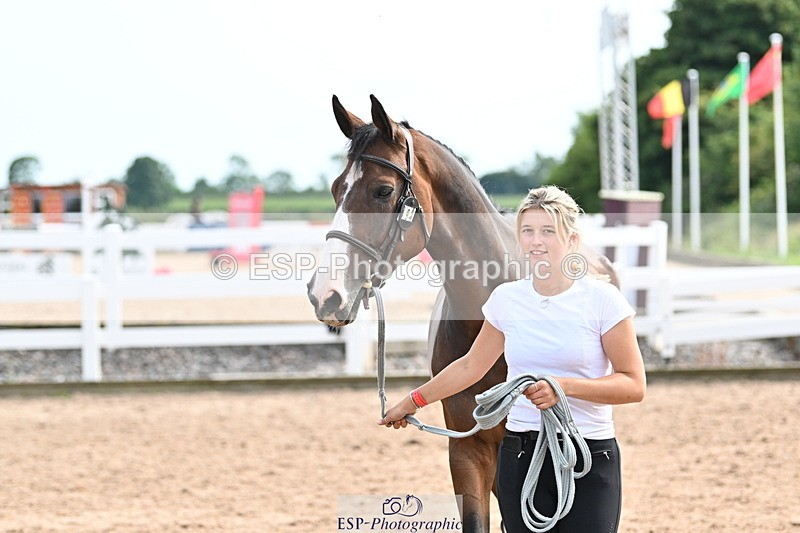 240717A-162022-03419 - Trot Up 4pm to 5pm