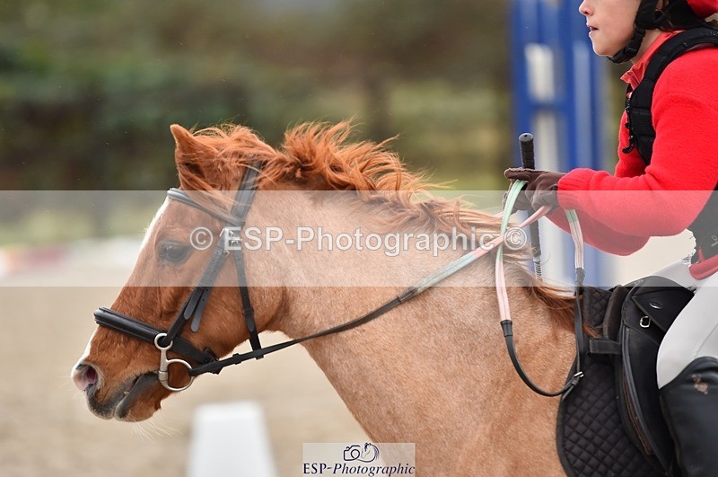 231210-115046-00489 - Cls 3 50cm