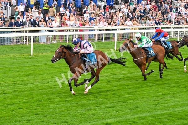250725-Race 3-Amakhala Warrior-5737 - Race 3 6.38pm Ire-Incentive, It Pays To Buy Irish EBF Restricted Novice Stakes
