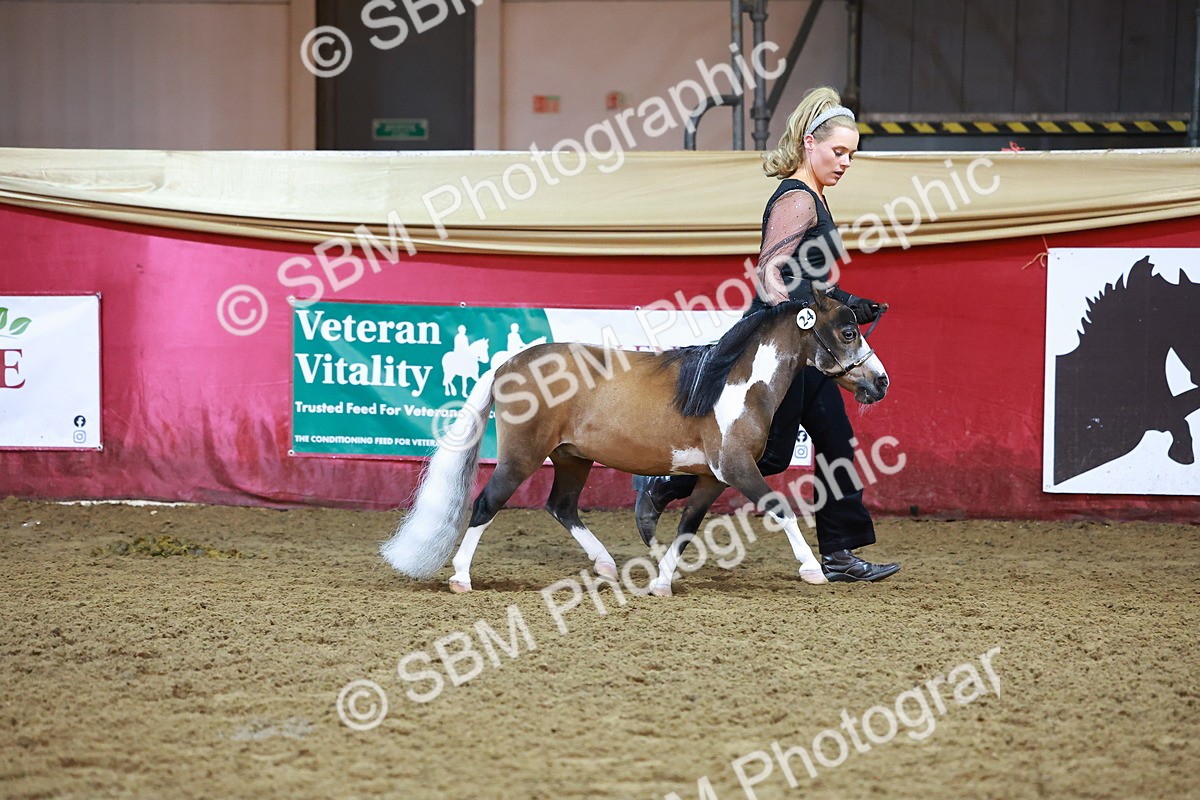 SBM_14888 - Class F - IH Small Champ