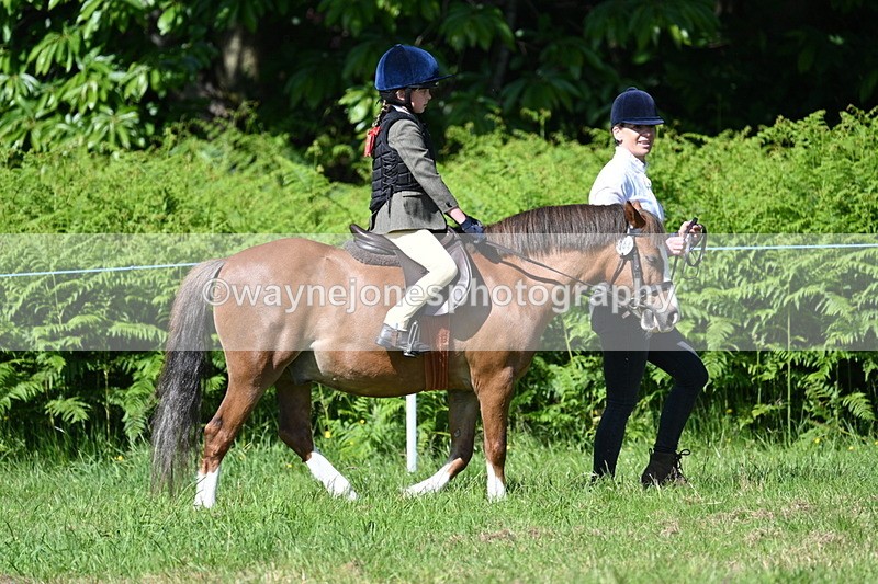 WJ7_0761 - Class 8 First Rally Pony