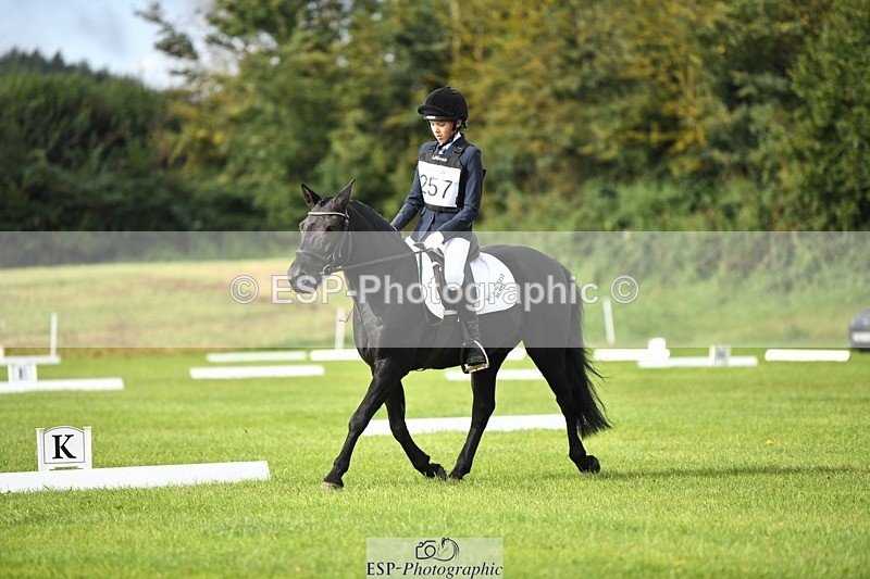 230826-094752-15240 - Sections C & D 9 to 10am