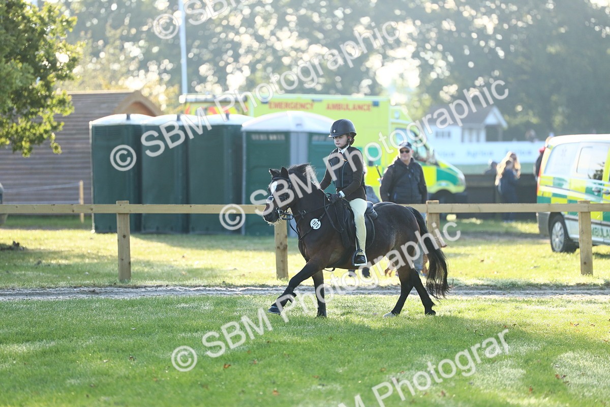 SBM_37277 - S29 - Novice & Newcomers Working Hunter Pony