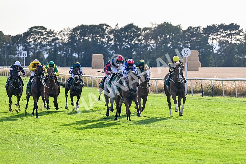 140826-Race 3-Equity Law-1115 - Race 3 18.43pm Heineken 0% Handicap