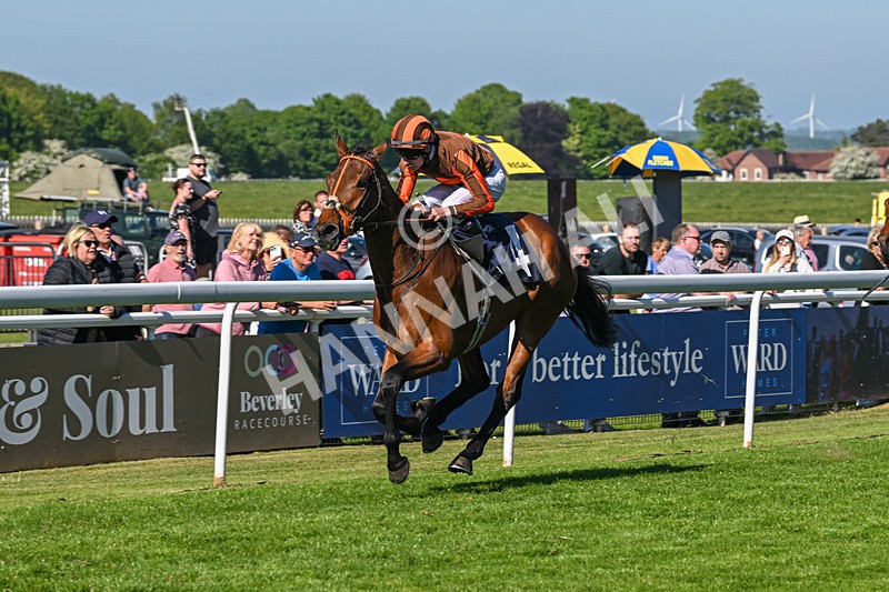 130525-Race 6-Analogical-0428 - Race 6