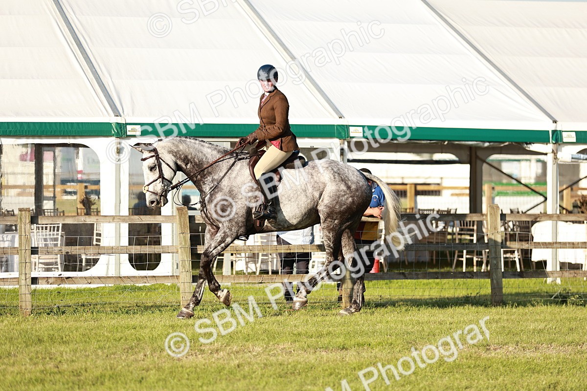 SBM_20471 - Class 117-119 - Sport Horse Working Hunter
