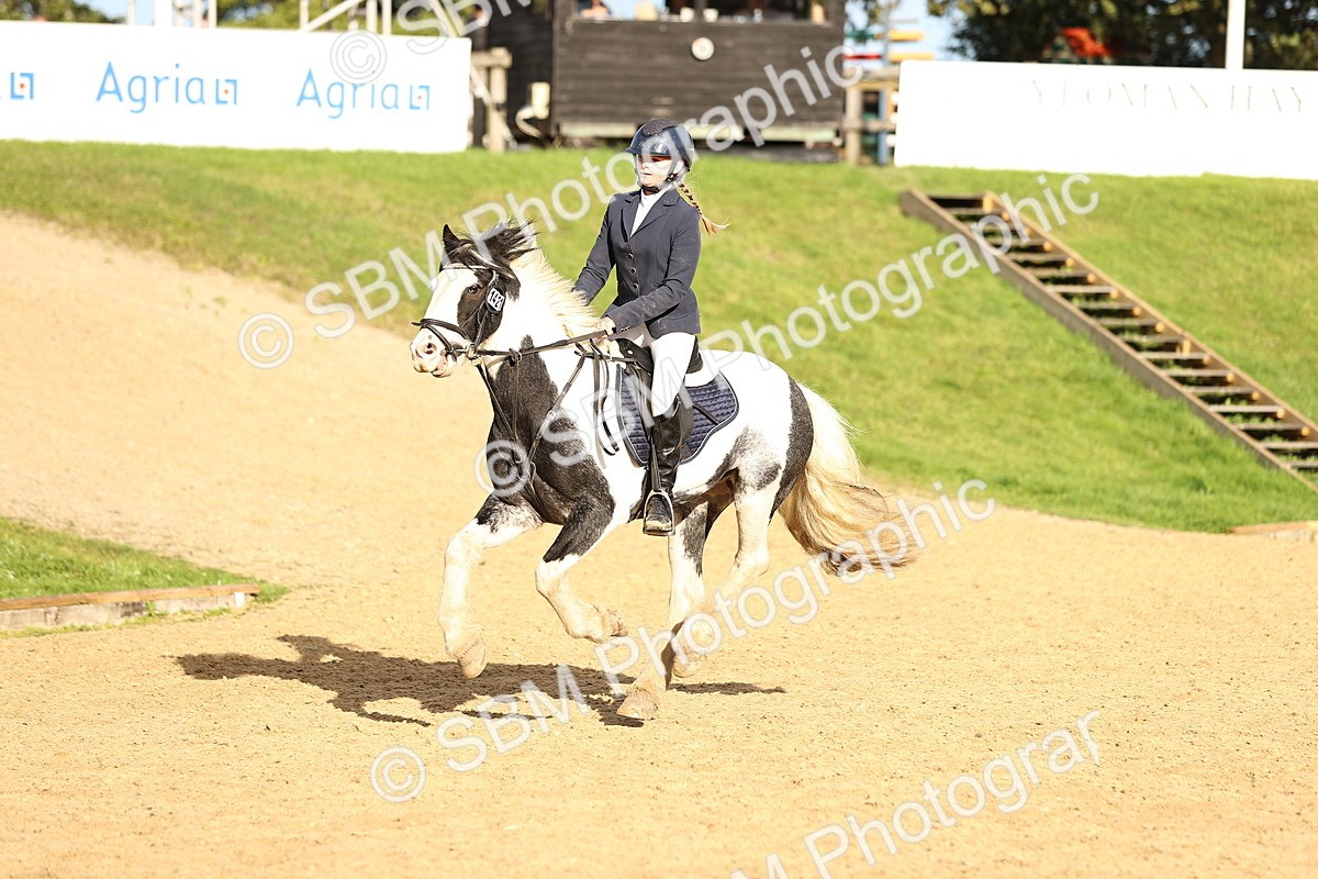 SBM_51667 - J10 - Junior Pony 75cm Championship