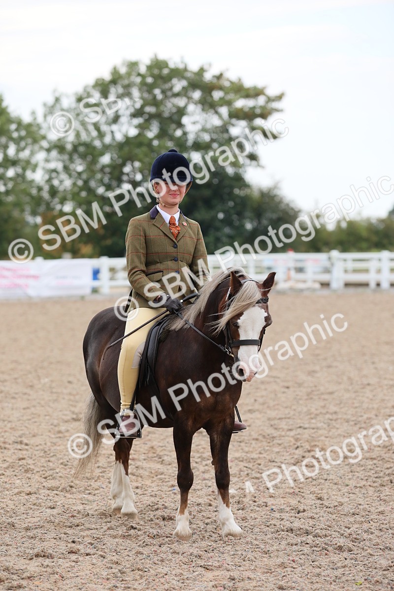 SBM_18185 - Class 316 Best Pony/Rider Combination