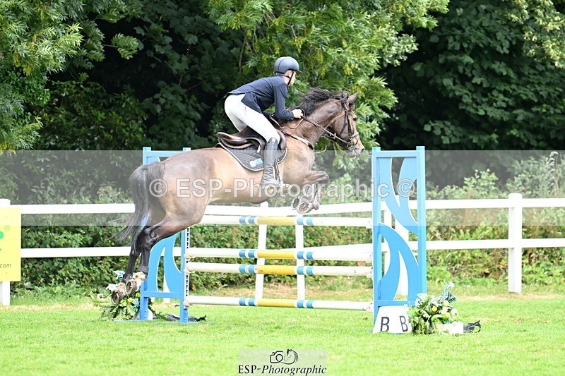 250706A-132730-20145 - Cls 45 Snr 1.20m Grand Prix