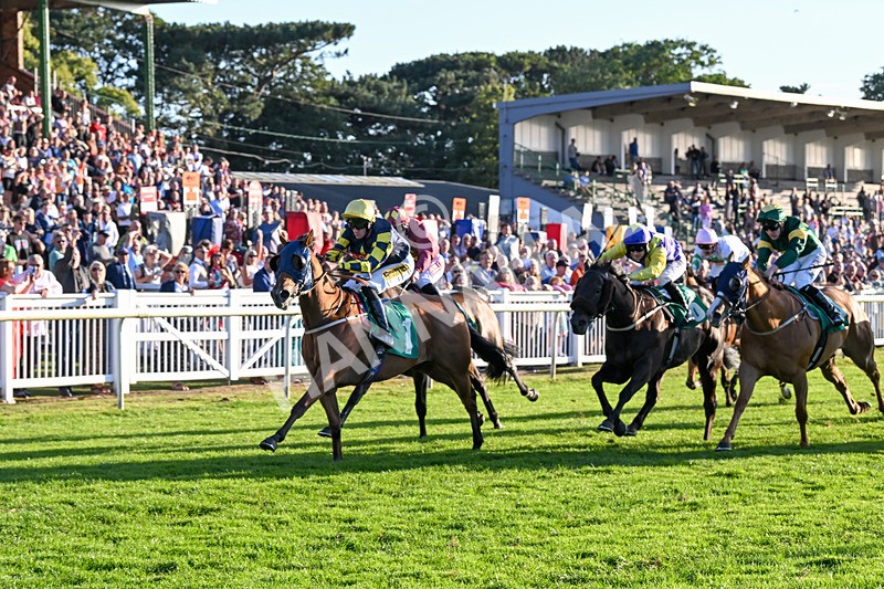 160824-Race 5-Ready Freddie Go-9580 - Race 5