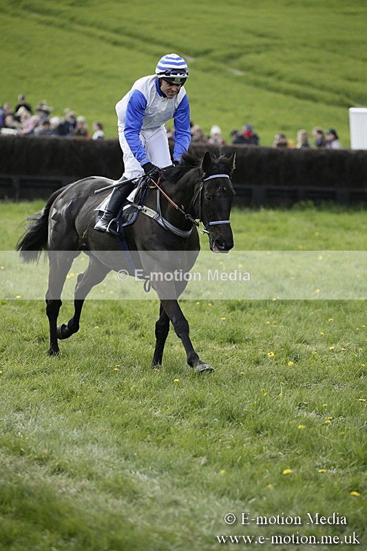 PtP 170417 404 - Old Berks Point-to-Point Lockinge 17/04/17