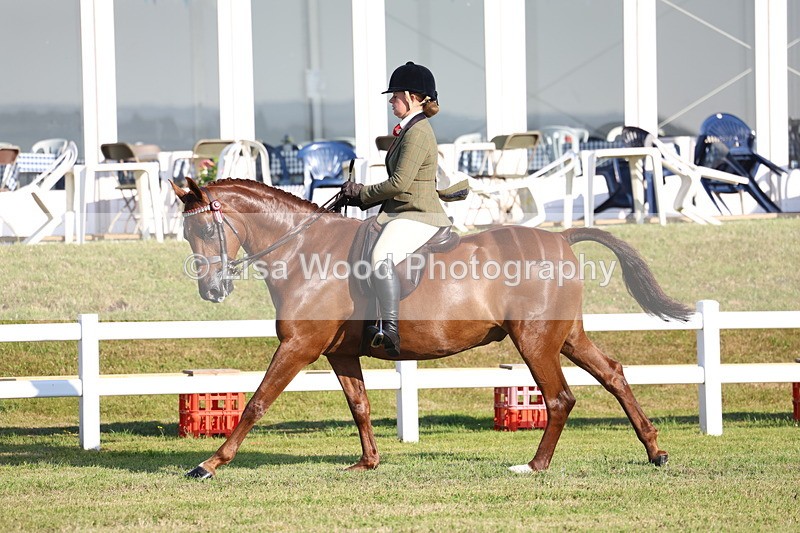 3E7A5005 - Class 1: Rising Star Small Hack/Riding Horses
