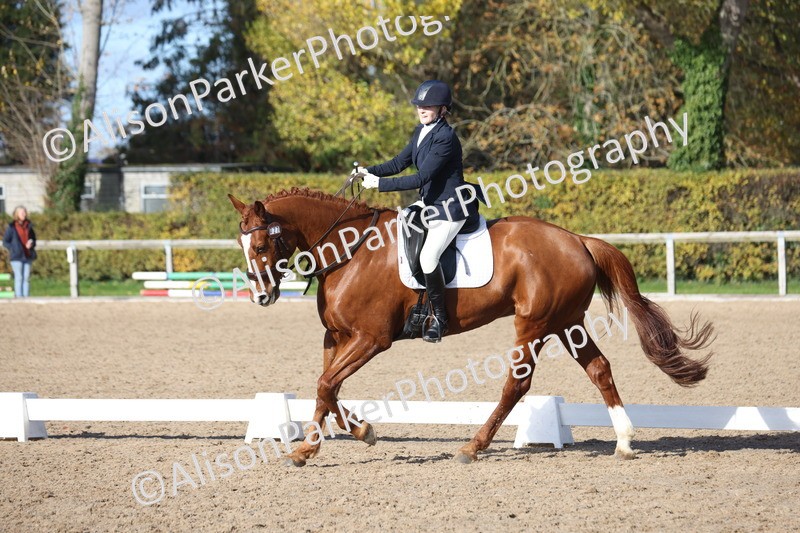 20251102-0713 - Class 4 - Novice 6