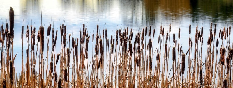 _DSC0198 - Old Images