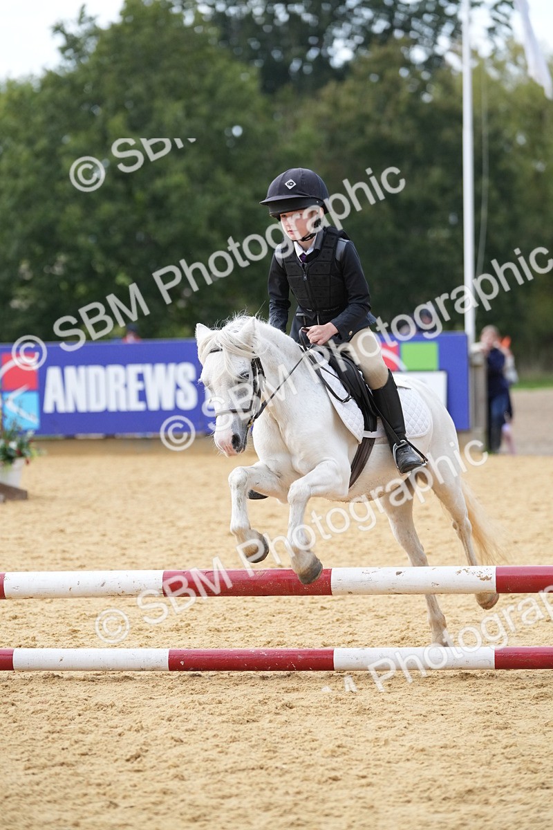 SBM_74693 - J4 - Mini Tour Junior Pony 45cm Championship