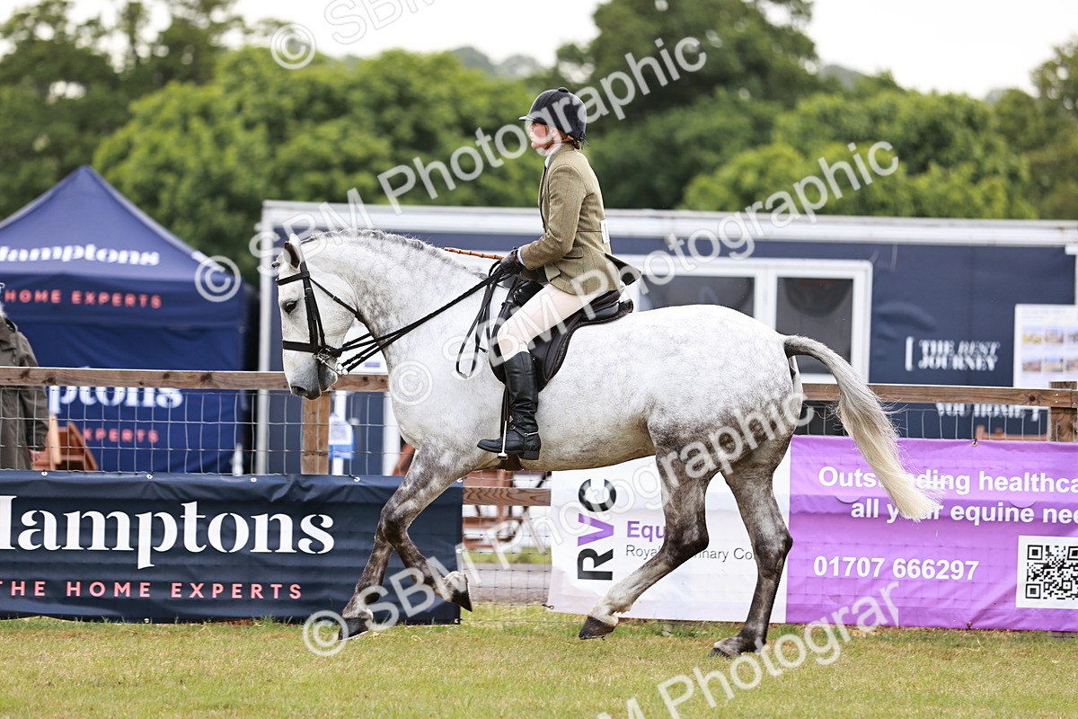 SBM_10773 - Class 81-84 - RIHS Ridden hunters Inc Ladies Hunter