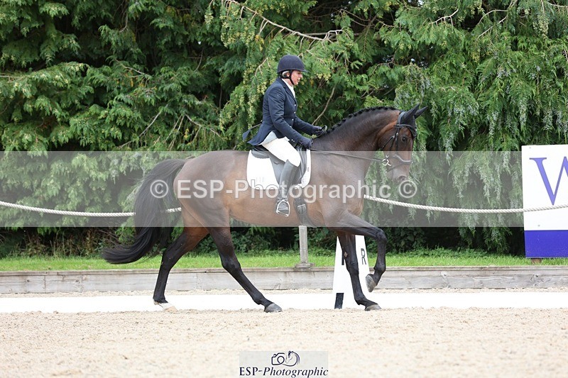 230813-133312-07380 - Cls 11 Elem Bronze 13.15 to 14.10 break