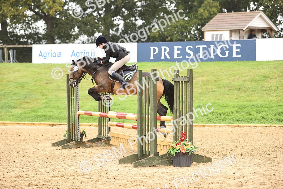 SBM_73381 - J19 - Junior Horse & Pony 90cm Supreme championship