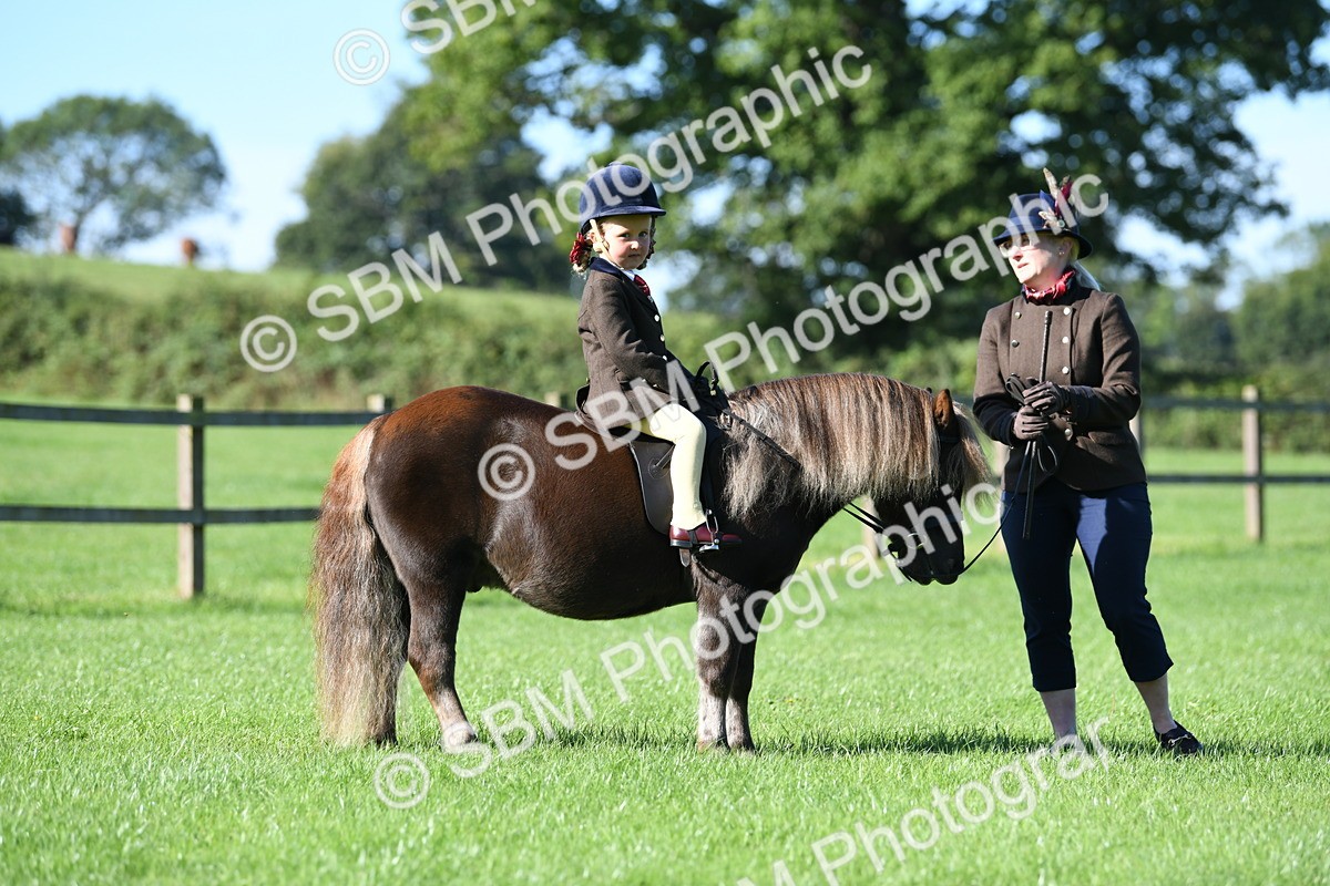 SBM_36747 - S18 - Novice & Newcomers Lead Rein Pony