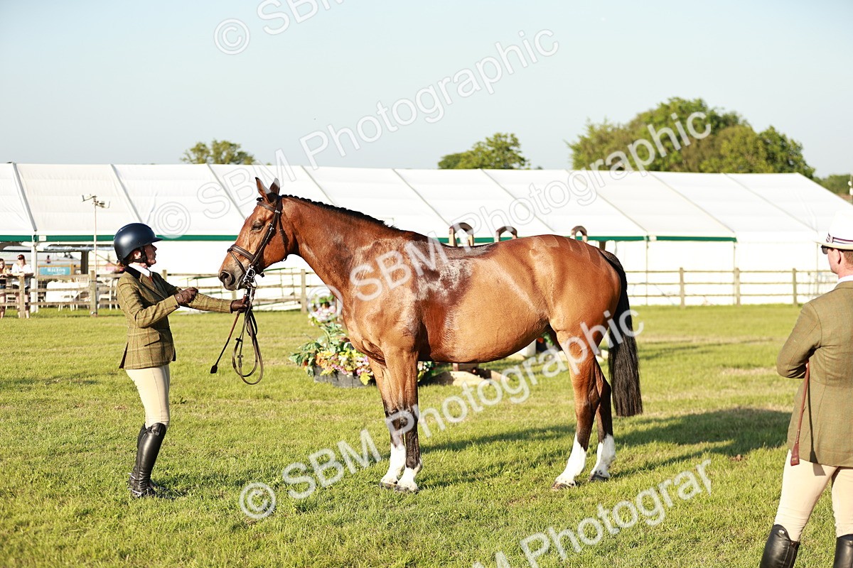 SBM_20536 - Class 117-119 - Sport Horse Working Hunter