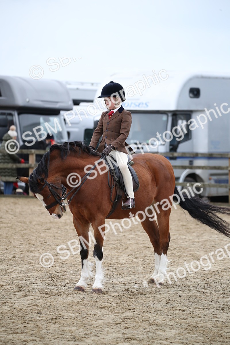 SBM_005957 - Class 10-13 - RIHS Small Large Breeds