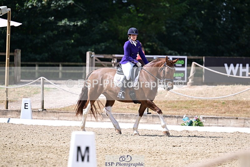 260802A-112342-06336 - Novice Bronze break - end
