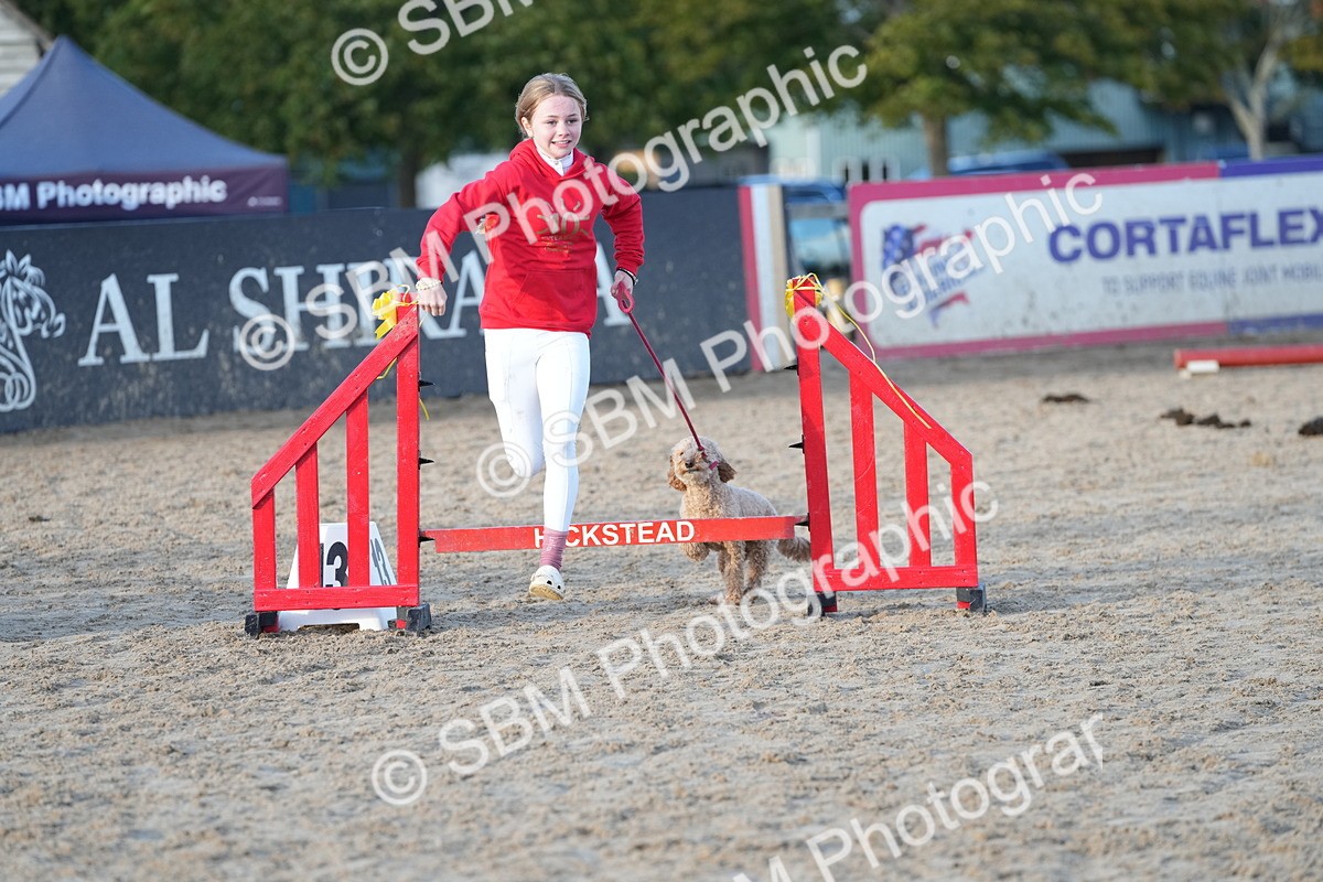 SBM_29478 - J44 - Horse & Hound Open 70cm