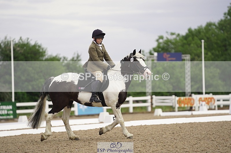 230708A-090136-00011 - Intro C