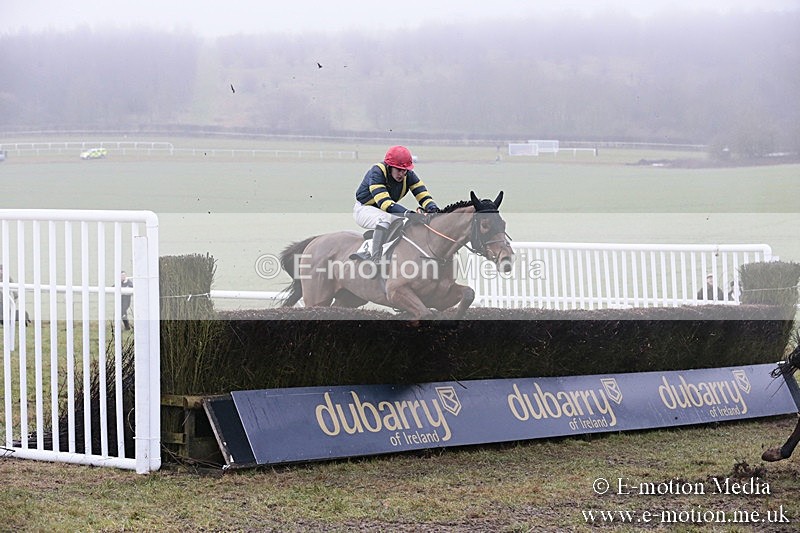 PtP 200118 108 - Barbury International Racing Club Point-to-Point 20/01/18
