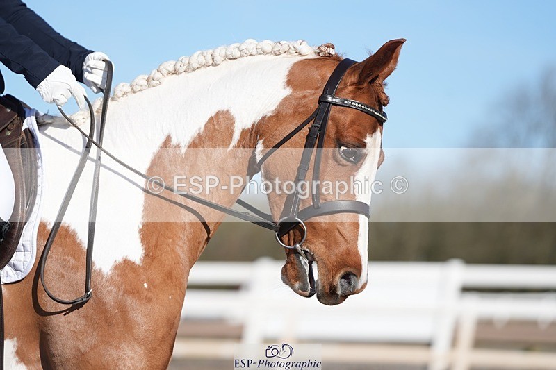 260214-104817-03634 - 034-Katherine.Donovan