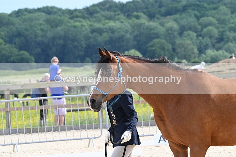 WJ7_8216 - Time 16:10 to 16:25