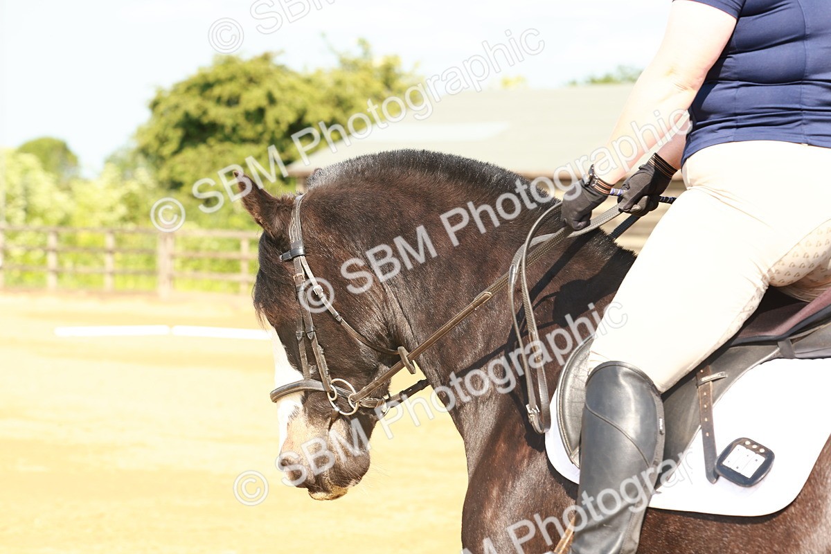 SBM_000101 - Class 1 - Intro 2