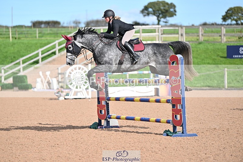 231015A-140115-08493 - Cls 31 Blue Chip Grade B & C Champ Quali
