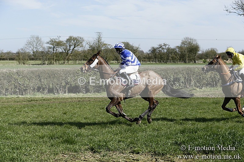PtP 250317 104 - V.W.H. Hunt Point-to-Point Siddington 25/03/17