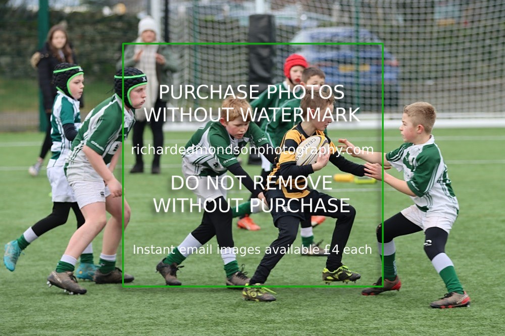 IMG_8686 - Kendal Rugby Under 11 Hornets vs Penrith (22/1/23)