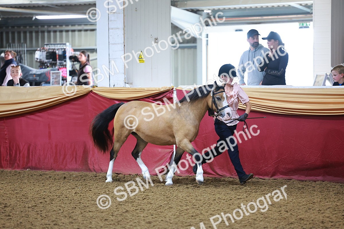 SBM_14676 - Class B - Junior Champ 11 to 16 Years