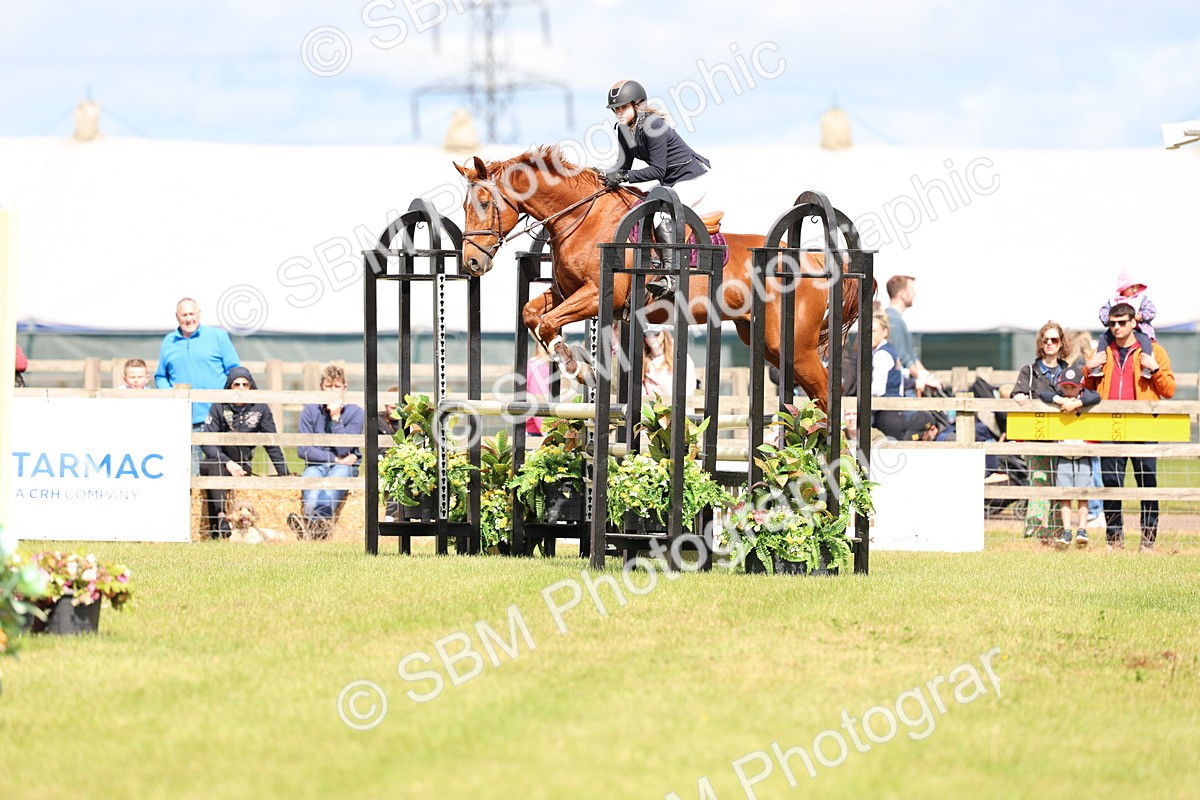 SBM_13404 - Class 206 - Senior Newcomers - 1.10m Open
