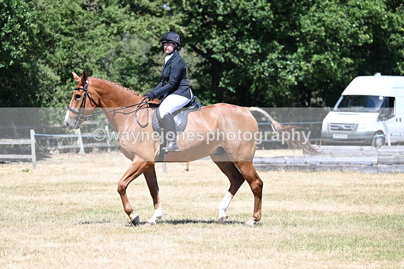 WJ7_2917 - Class 7 Riding Club Show Horse