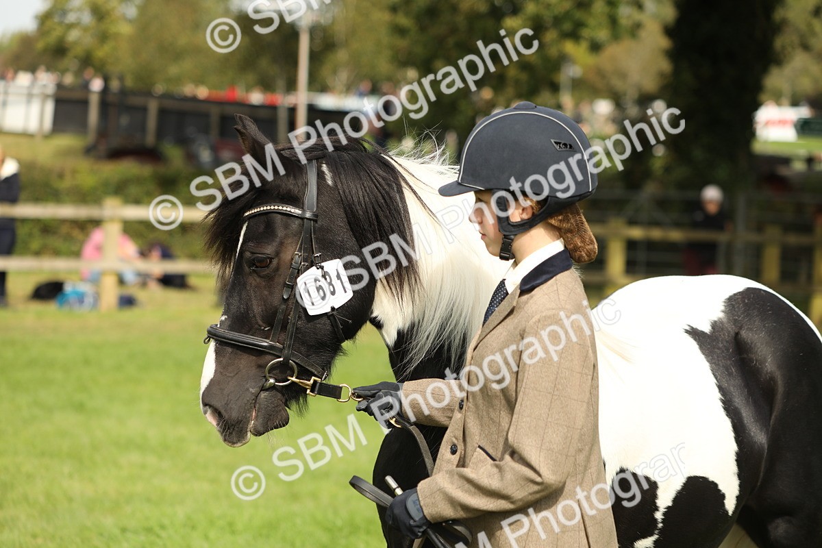 SBM_68691 - S40 - Junior Handler 9-12 Years