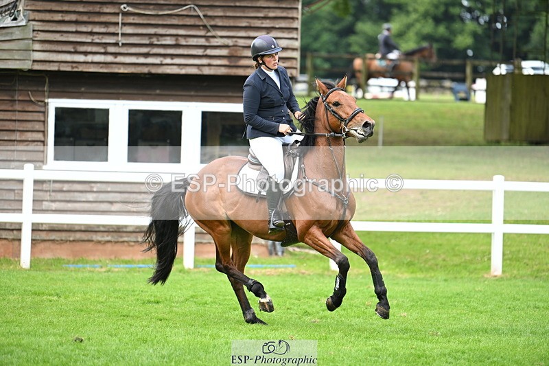 250615A-084234-09249 - Cls 35 Foxhunter