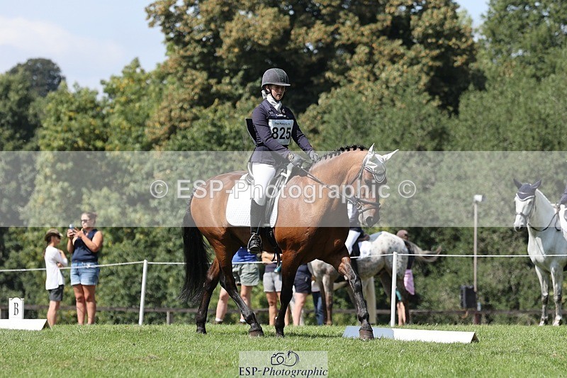 250823A-132510-31303 - Arena D