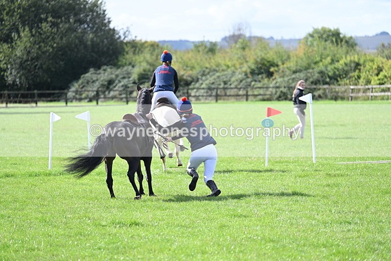 WJ7_8527 - 60cm Pairs