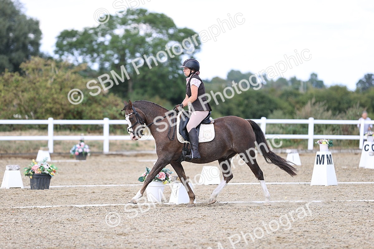 SBM_015944 - Class 5 - E5 Bronze  16.18.17.22