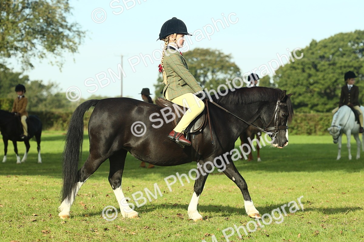 SBM_59220 - S38 - Starters Ridden Showing