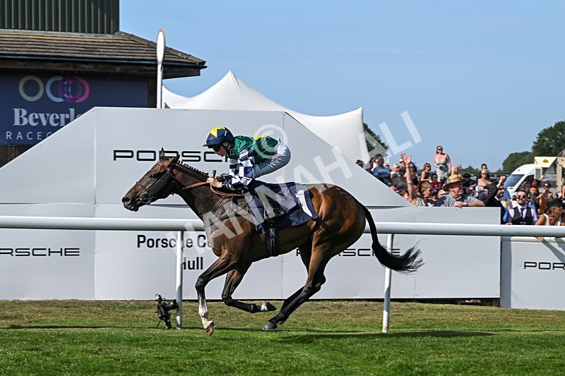 130825-Race 5-Bell Shot-8904 - Race 5