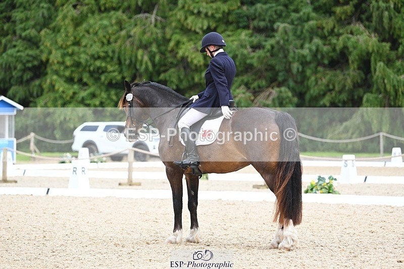 230813-140433-07667 - Cls 13 Medium Bronze 13.15 to End