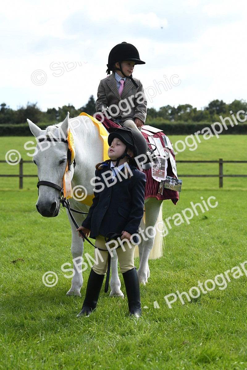 SBM_47248 - S12 - Family Horse & Pony