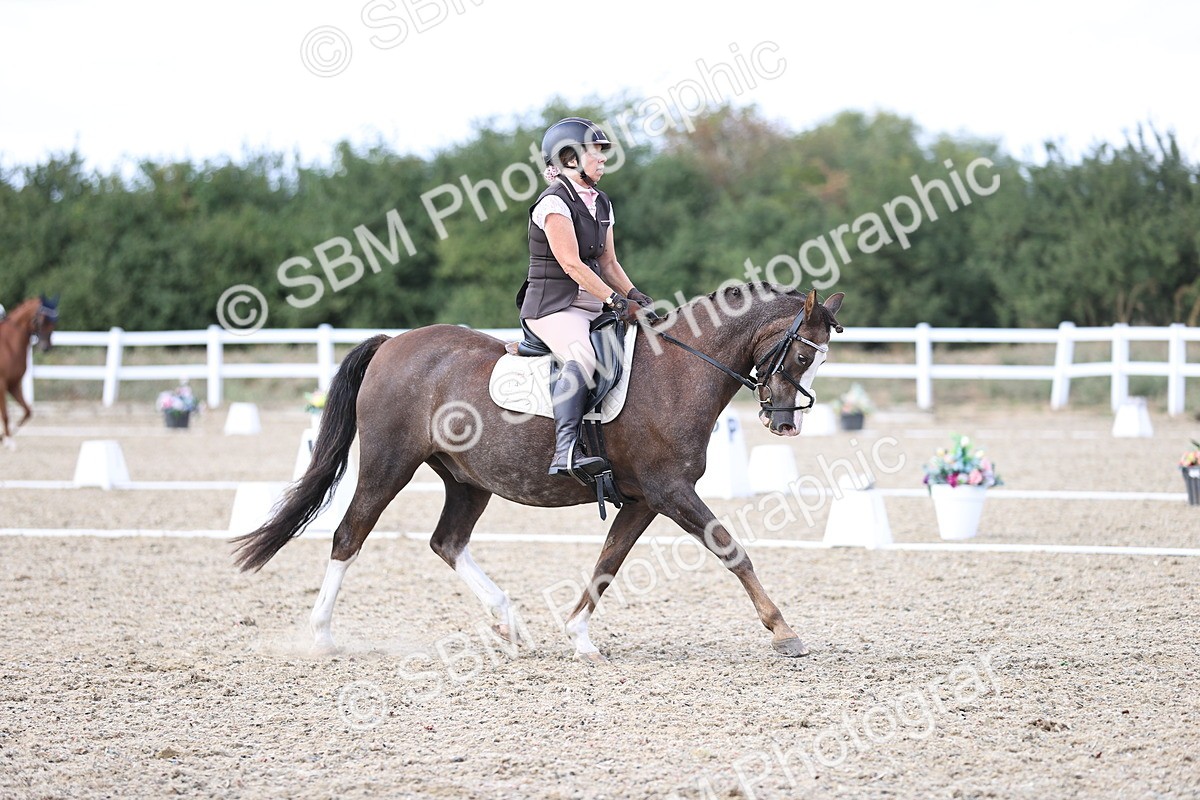 SBM_015960 - Class 5 - E5 Bronze  16.18.17.22